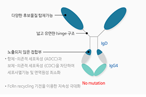 메디포뉴스